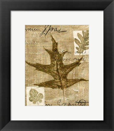 Framed Mini Leaf Collage II (ST) Print