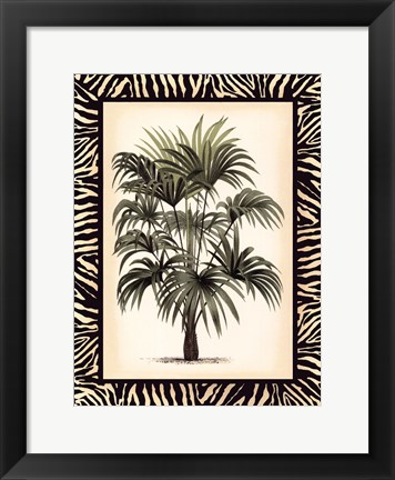 Framed Small Palm in Zebra Border I Print