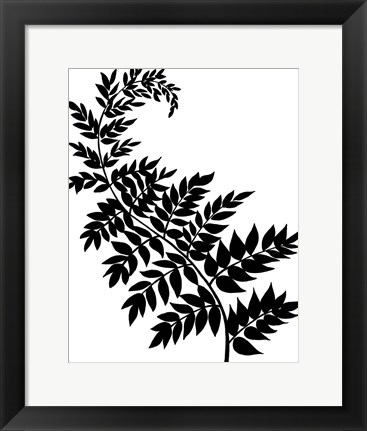 Framed Leaf Silhouette III Print