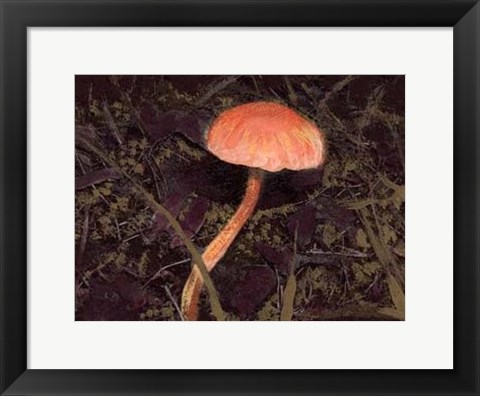 Framed Forest Floor III Print