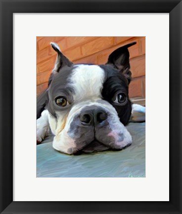 Framed Moxley Boston Terrier Print