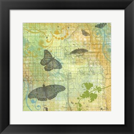 Framed Butterflies I Print