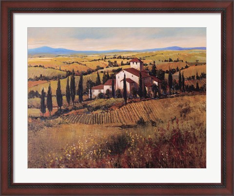 Framed Tuscany III Print