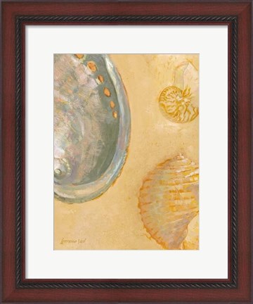 Framed Shoreline Shells V Print