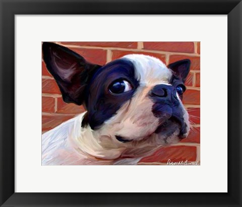 Framed Boston Puppy Print