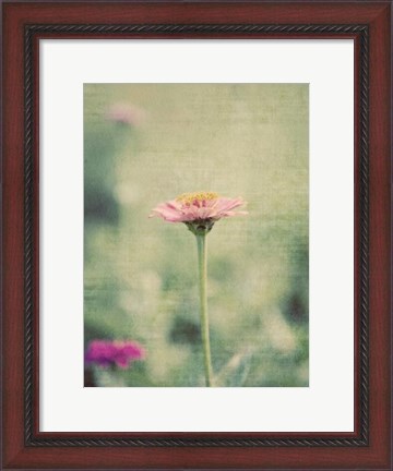 Framed Flower Portrait IV Print