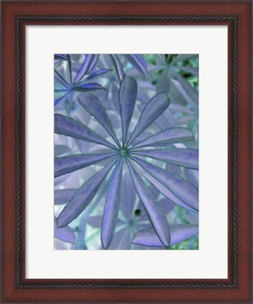 Framed Woodland Plants in Blue I Print