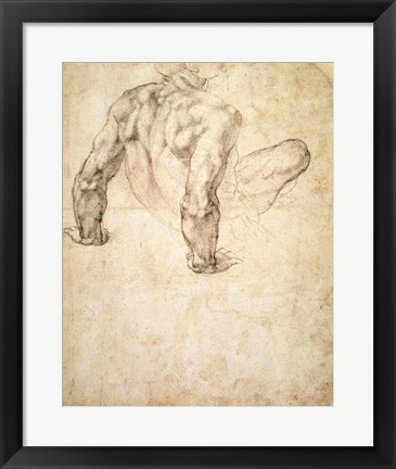 Framed W.63r Study of a male nude, leaning back on his hands Print