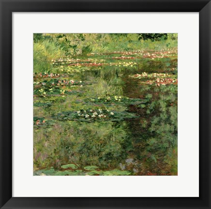 Framed Waterlily Pond, 1904 Print