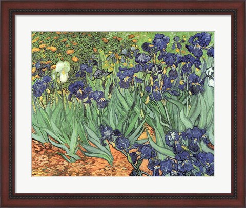 Framed Irises, 1889 Print