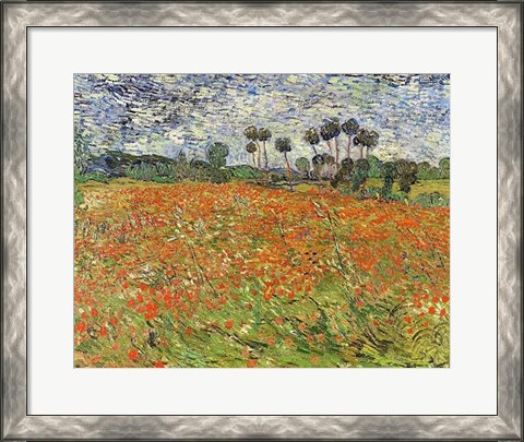 Framed Field of Poppies Print