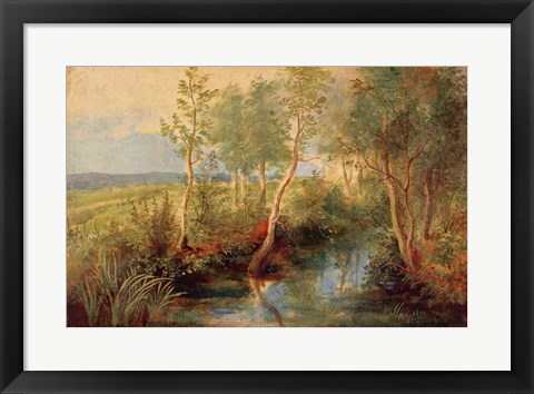 Framed Landscape Print