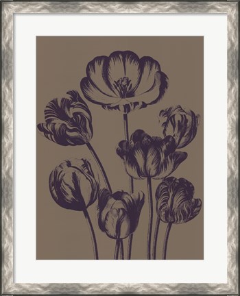 Framed Tulip 14 Print