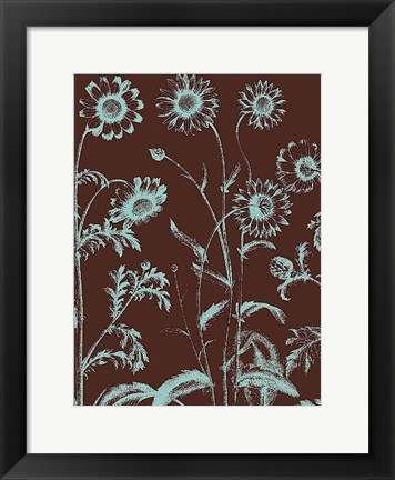 Framed Chrysanthemum 17 Print