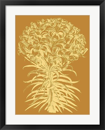 Framed Lilies 20 Print