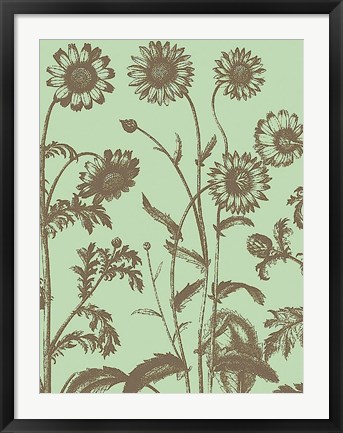 Framed Chrysanthemum 11 Print