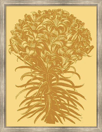 Framed Lilies 19 Print