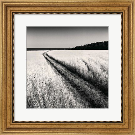 Framed Oceanside Field Print
