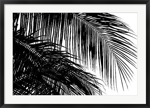 Framed Palms 3 Print