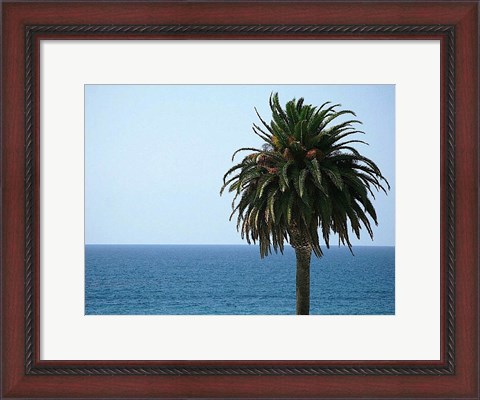 Framed Palm at Moonlight Beach Print