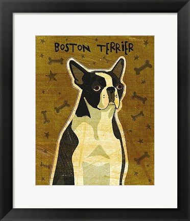 Framed Boston Terrier Print