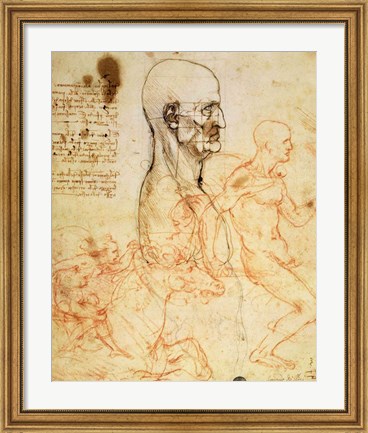 Framed Torso of a Man in Profile, the Head Squared for Proportion Print
