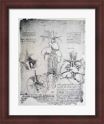 Framed Heart and the Circulation Print