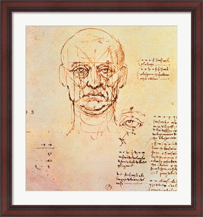 Framed Studies of the Proportions of the Face and Eye Print