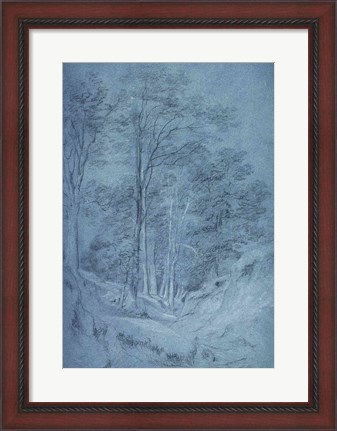 Framed Study of ash and other trees Print