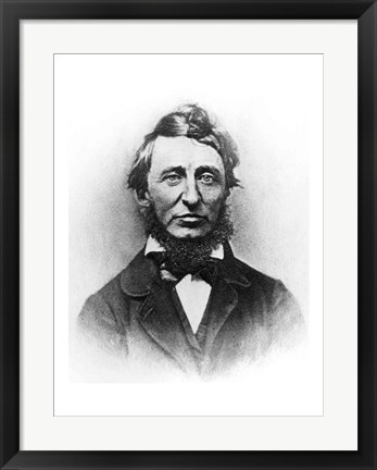 Framed Henry Thoreau Print