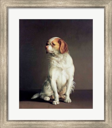 Framed Portrait of a King Charles Spaniel Print
