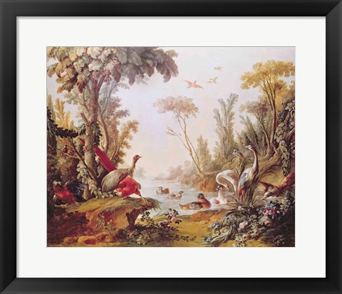 Framed Lake with geese, storks, parrots and herons, from the Salon of Gilles Demarteau Print