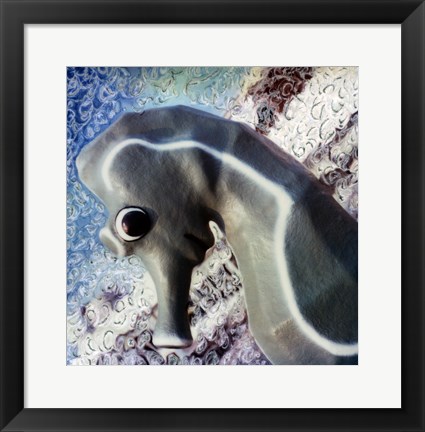 Framed Profile of playground seahorse Print