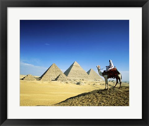 Framed Man riding a camel near the pyramids, Giza, Egypt Print