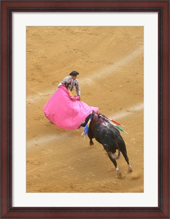 Framed Matador Bullfight Print
