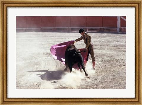 Framed Matador fighting with a bull, Spain Print