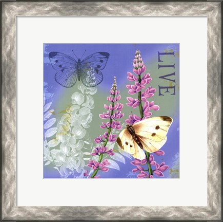 Framed Butterflies Inspire I Print