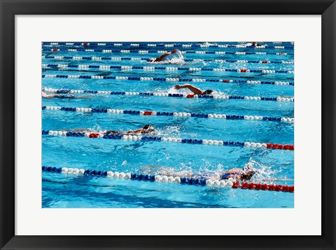 Framed High angle view of people swimming in a swimming pool, International Swimming Hall of Fame, Fort Lauderdale, Florida, USA Print