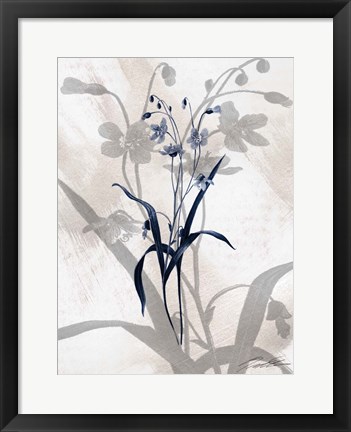 Framed Indigo Bloom III Print