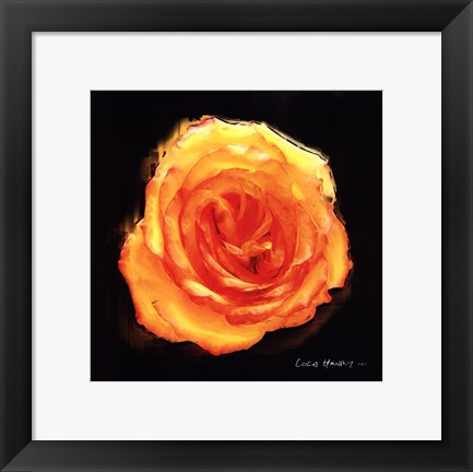 Framed Vibrant Flower II Print