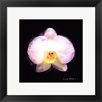 Framed Vibrant Flower IV Print