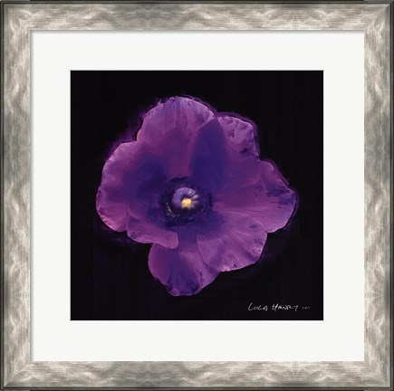 Framed Vibrant Flower VIII Print
