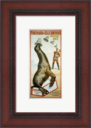Framed Sea Lion Catching Hats Print