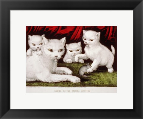 Framed Three Little White Kitties Print
