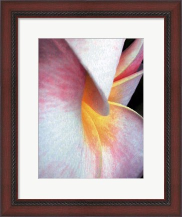 Framed Flowers II Print