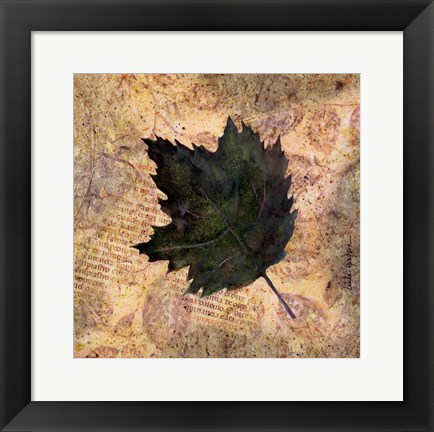Framed Antiqued Leaves III Print