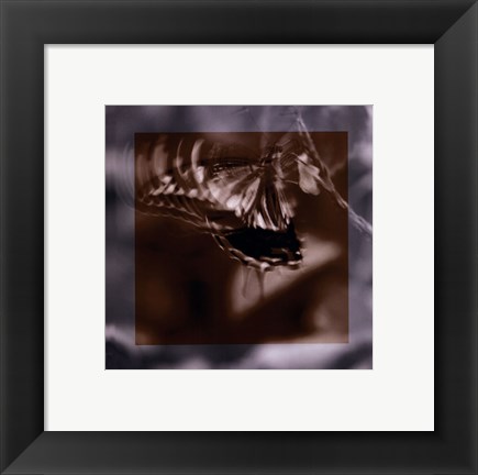 Framed Butterfly Study I Print