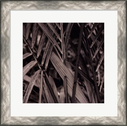 Framed Bamboo Study II Print