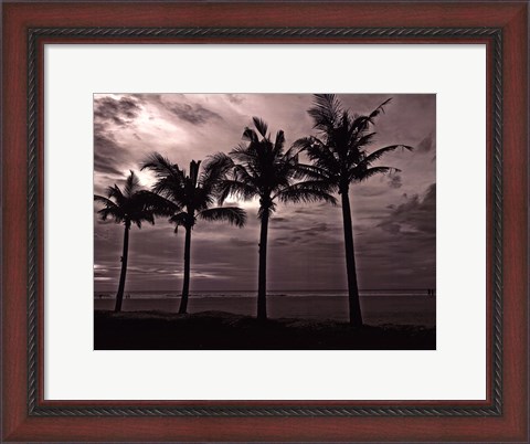 Framed Palms At Night VI Print