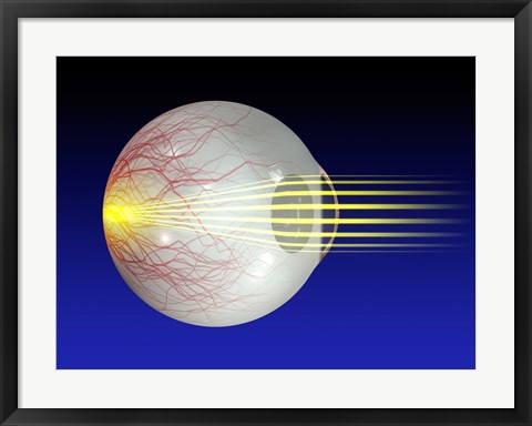 Framed Close-up of the human eyeball Print